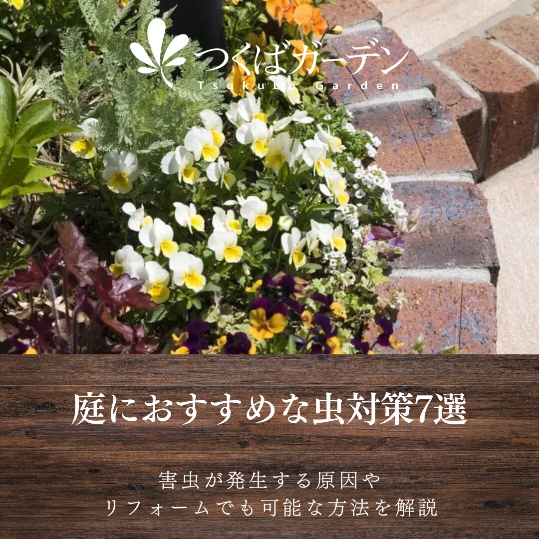 庭におすすめな虫対策7選
