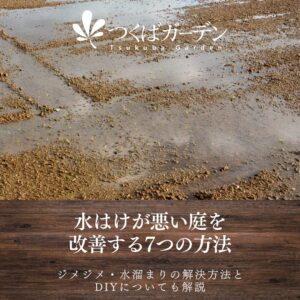 水はけが悪い庭を 改善する7つの方法