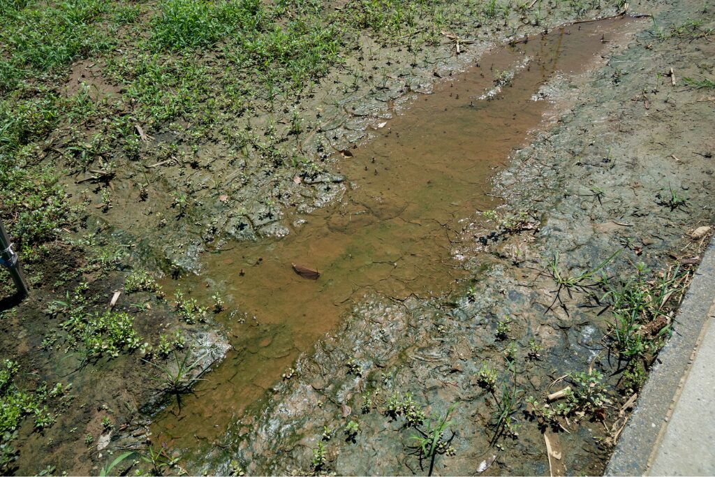 水はけが悪い土地