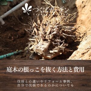 庭木の根っこを抜く方法と費用