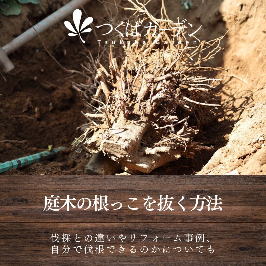 974e55374bf40be9e3e890d0973b85