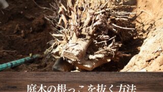 974e55374bf40be9e3e890d0973b85