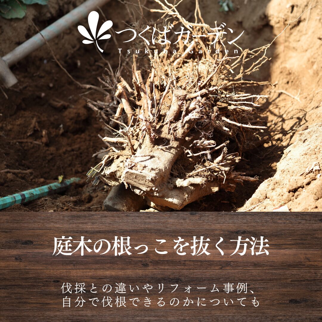 庭木の根っこを抜く方法