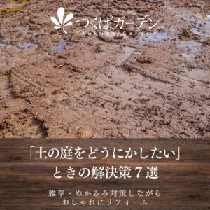 「土の庭をどうにかしたい」 ときの解決策７選