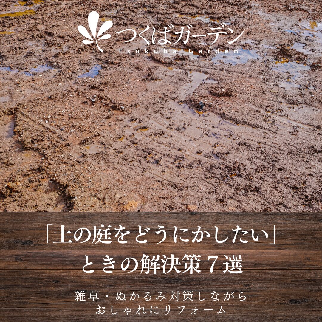 「土の庭をどうにかしたい」 ときの解決策７選