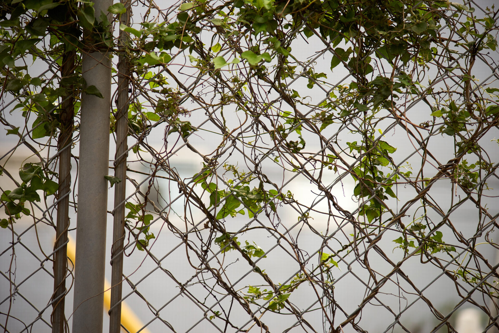 スチールフェンス