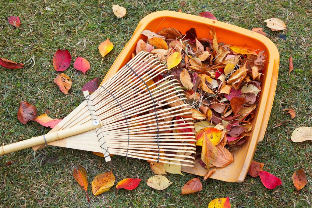 落ち葉の掃除方法