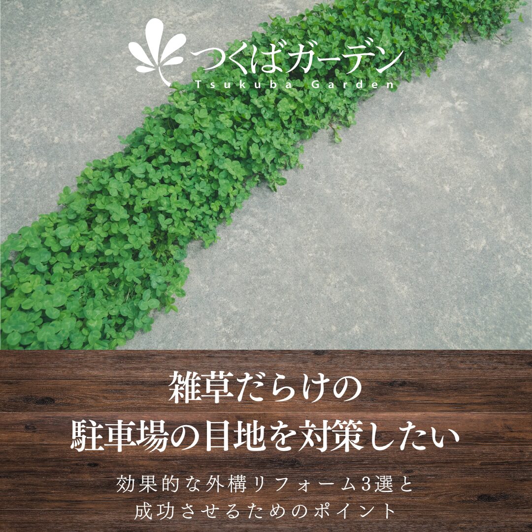 雑草だらけの
駐車場の目地を対策したい