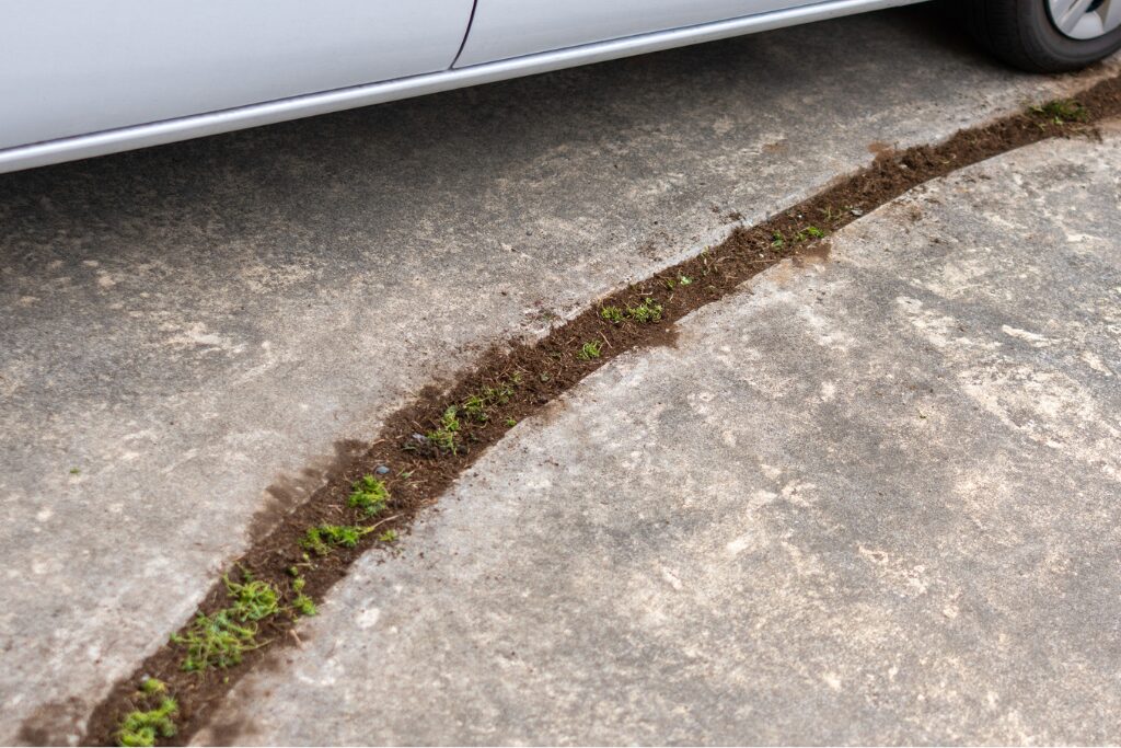 コンクリートの駐車場に雑草