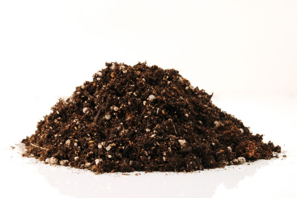 落ち葉が腐葉土になる