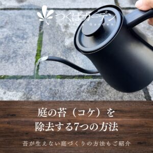 庭の苔(コケ)を 除去する7つの方法