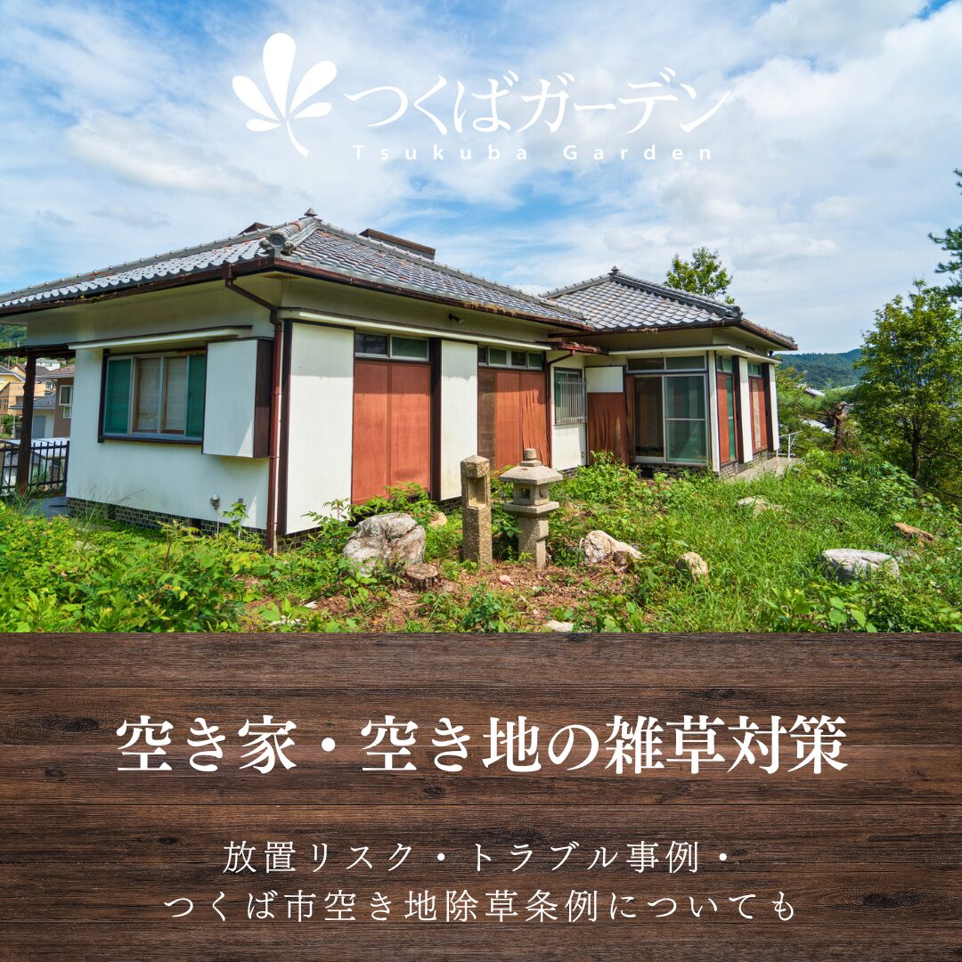 空き家・空き地の雑草対策